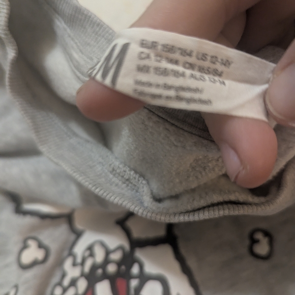 H&M Gray Snoopy Sweatshirt - Picture 5 of 5